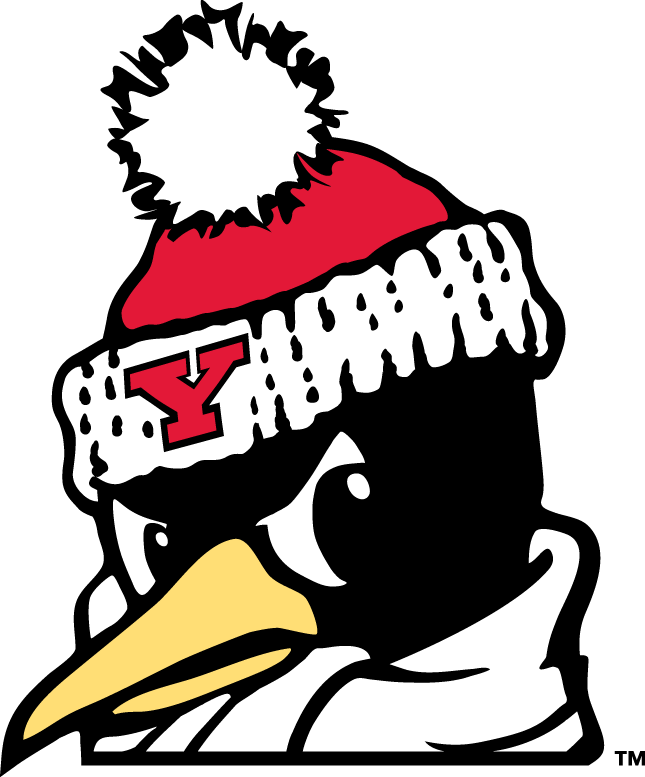 Youngstown State Penguins 1993-Pres Alternate Logo v6 iron on transfers for clothing